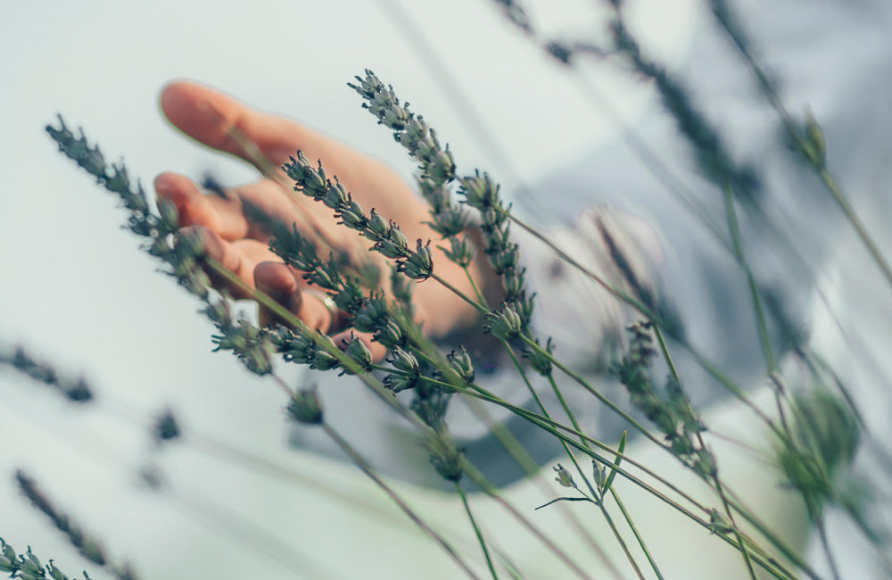 フローラルの香り